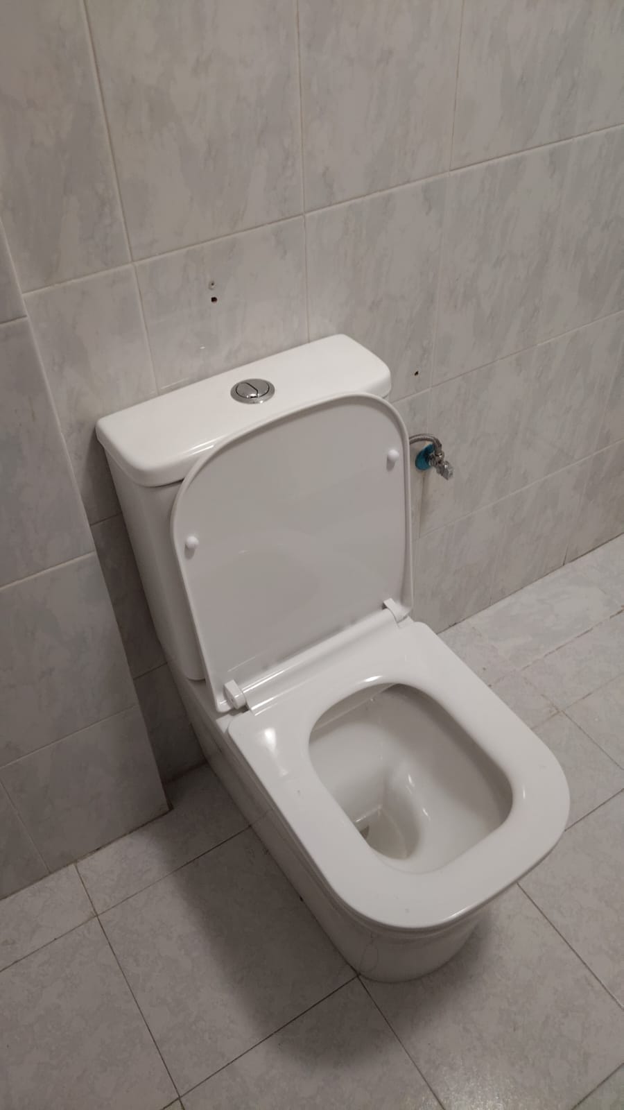 Instalación de inodoro en La Zenia